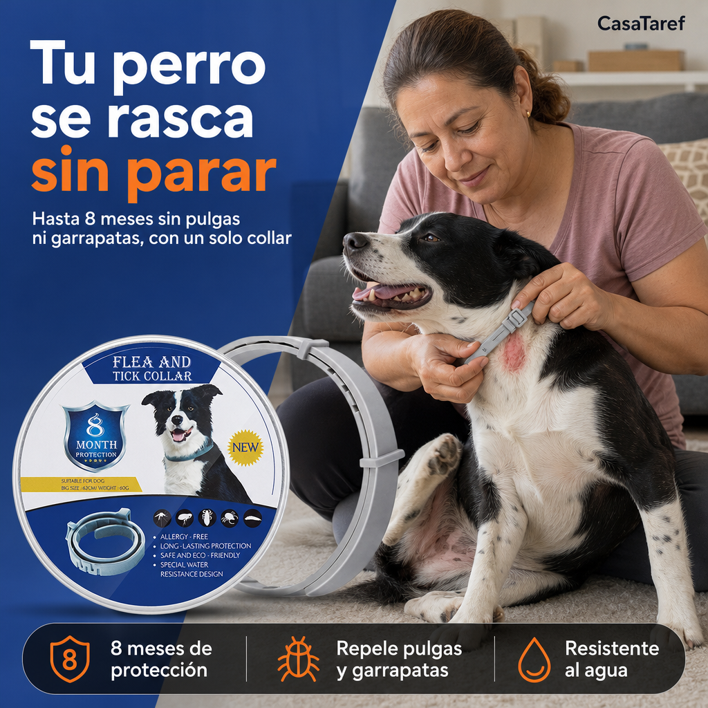 ia-casataref