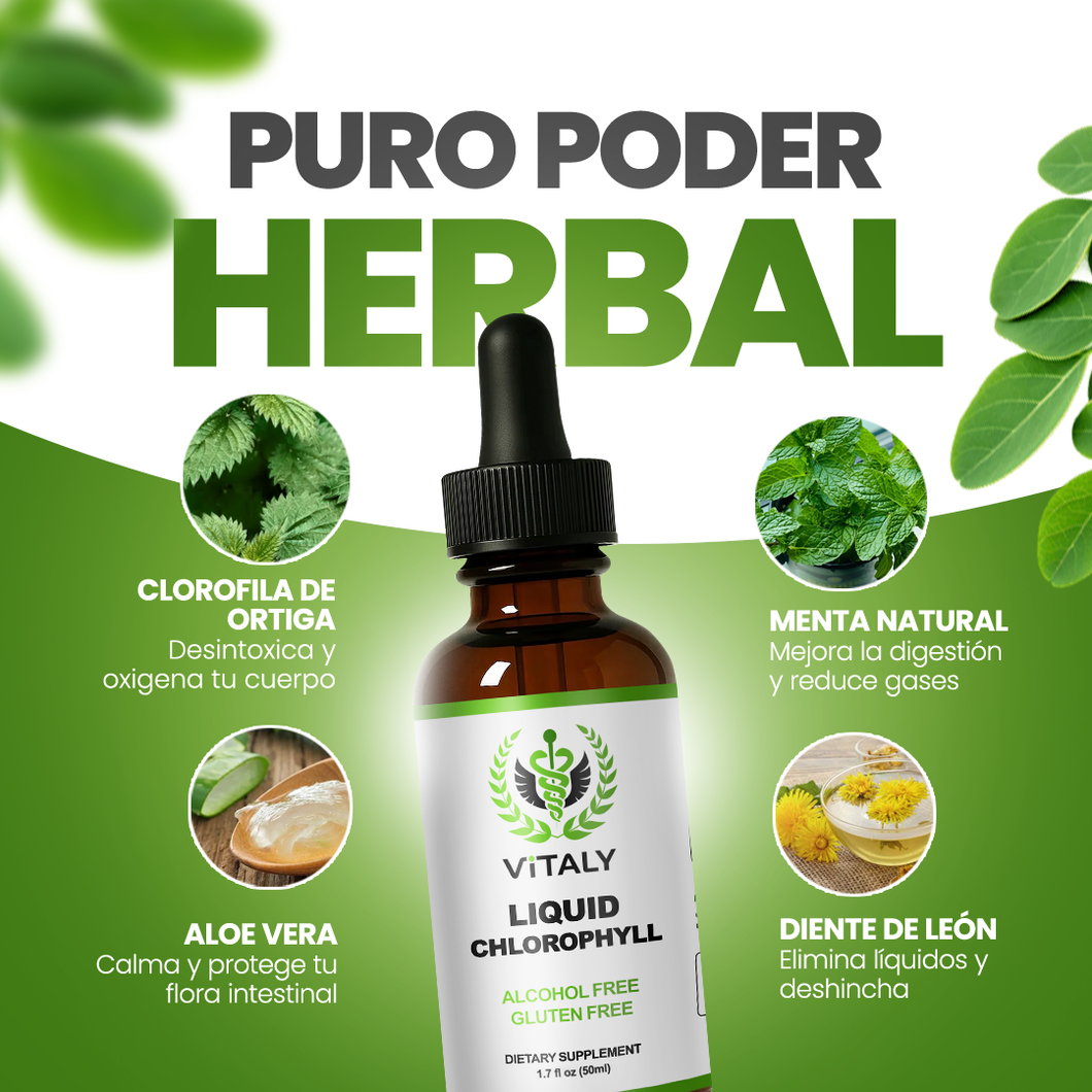 Clorofila Líquida Benevolent 2x1 – Más Energía y Digestión