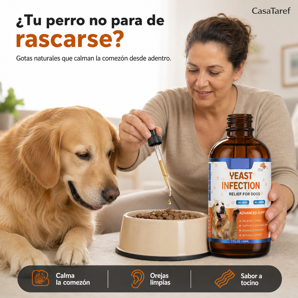 ia-casataref