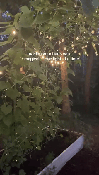 LuzSolar Pro - Ilumina tu jardín sin enchufes ni factura